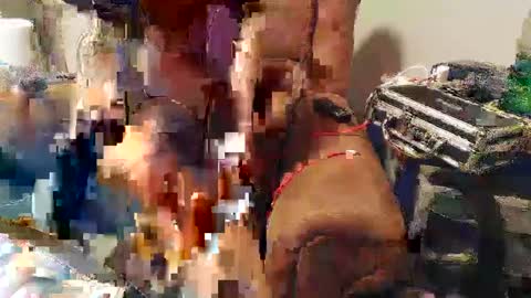 Snapshot of josefturner1 chatting on 22, 1, 2025 Josef online show from 22, 1, 2025