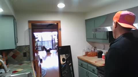 jroge21 online show from 26, 1, 2025