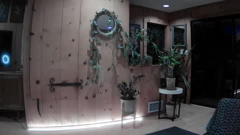 jroge21 online show from 16, 2, 2025