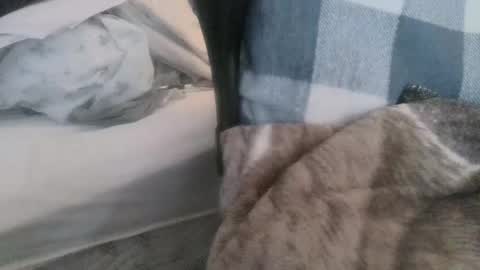 Join My Fan Club To Get To Know Me Better online show from 9, 3, 2025