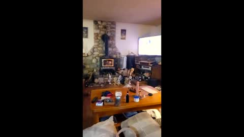 jsteger1465 online show from 24, 2, 2026