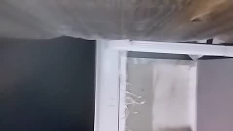 Carlos online show from 9, 12, 2024