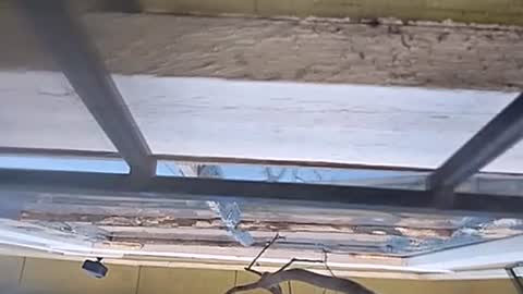 Carlos online show from 13, 1, 2025