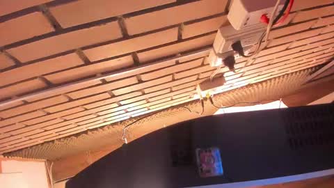 Julia online show from 2, 3, 2025