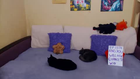 Jul online show from 4, 11, 2025