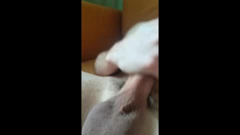 jungle121729 online show from 7, 1, 2026