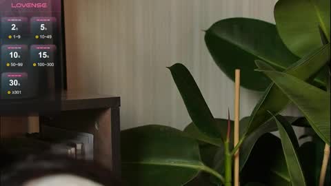 just_dakota_ online show from 31, 3, 2026