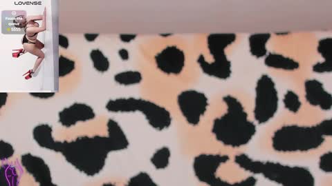 Snapshot of just_fucked chatting on 12, 12, 2024 Nika and Mark online show from 12, 12, 2024