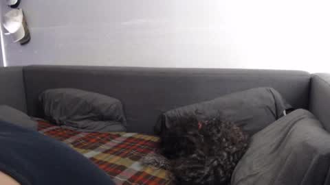 Snapshot of justasucker4u chatting on 20, 11, 2025 justasucker4u online show from 20, 11, 2025