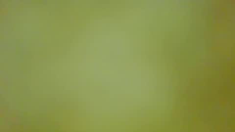 McKeefer online show from 13, 9, 2025