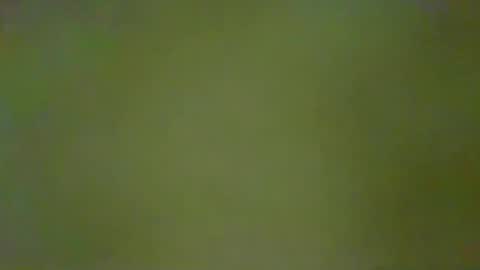 McKeefer online show from 18, 1, 2026