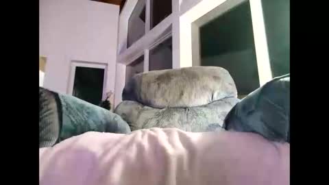 Gil indpendant model exhibitionnist online show from 8, 1, 2025
