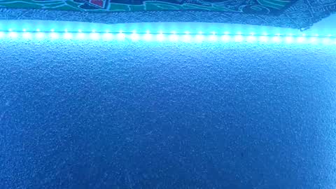 Midnitestarr online show from 22, 2, 2025