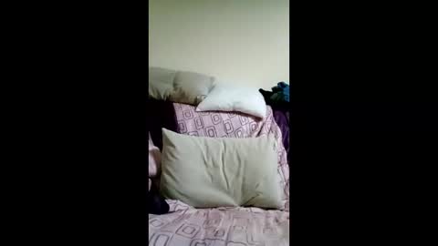 Snapshot of kactuses chatting on 5, 12, 2025 kactuses online show from 5, 12, 2025