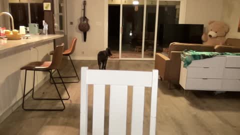 Snapshot of kaileeshy chatting on 27, 9, 2025 Kailee Smile online show from 27, 9, 2025