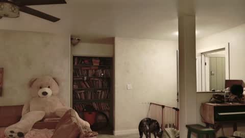 Snapshot of kaileeshy chatting on 27, 11, 2025 Kailee Smile online show from 27, 11, 2025