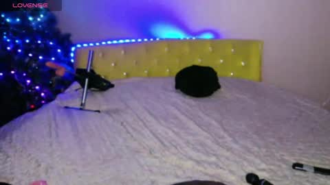 sweet rose online show from 21, 12, 2025