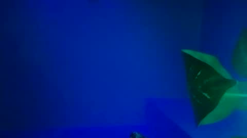 Karla Gonzaless online show from 9, 11, 2025