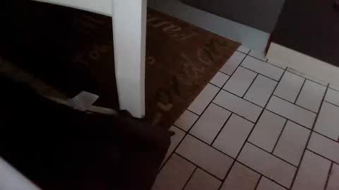 Kev online show from 31, 10, 2025