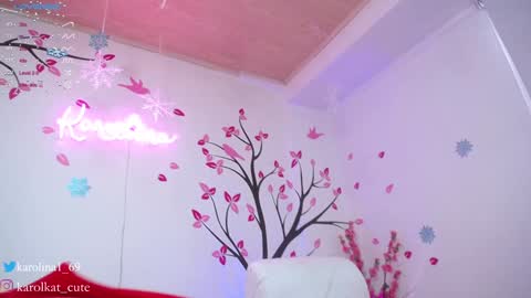 Snapshot of karolkat_1 chatting on 12, 12, 2024 Karolina 3 online show from 12, 12, 2024