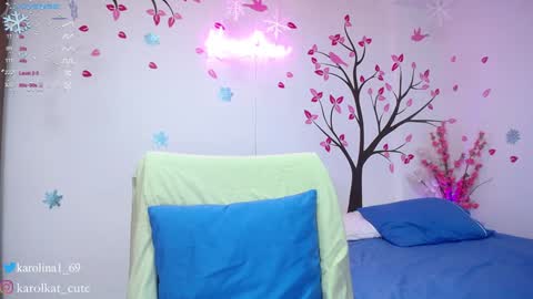 Snapshot of karolkat_1 chatting on 17, 12, 2024 Karolina 3 online show from 17, 12, 2024