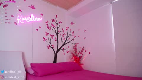 Snapshot of karolkat_1 chatting on 27, 1, 2025 Karolina 3 online show from 27, 1, 2025