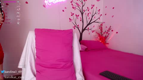 Snapshot of karolkat_1 chatting on 28, 1, 2025 Karolina 3 online show from 28, 1, 2025