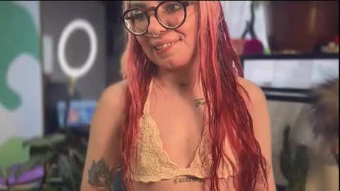 Karter online show from 30, 10, 2025