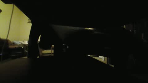 Snapshot of kaskaderns chatting on 29, 1, 2025 Stojko online show from 29, 1, 2025