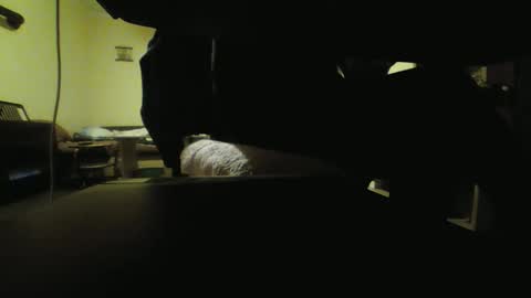 Snapshot of kaskaderns chatting on 18, 10, 2025 Stojko online show from 18, 10, 2025