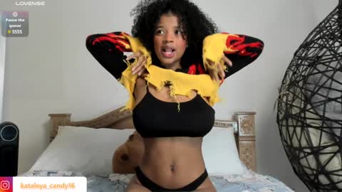 Kataleya online show from 27, 12, 2024