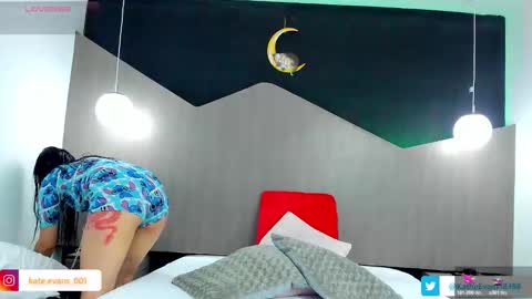 Kate Evans online show from 1, 3, 2026