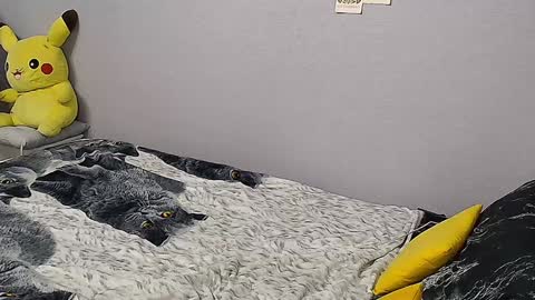 KathrineBerry online show from 31, 1, 2025