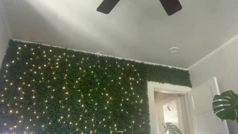 Snapshot of katieericson13 chatting on 30, 12, 2024 Kate online show from 30, 12, 2024