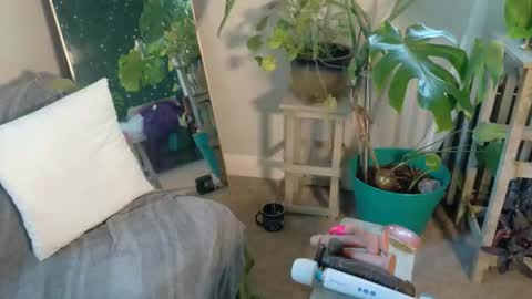 Snapshot of katieericson13 chatting on 1, 10, 2025 Kate online show from 1, 10, 2025