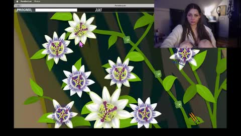 K3z14 online show from 19, 2, 2025