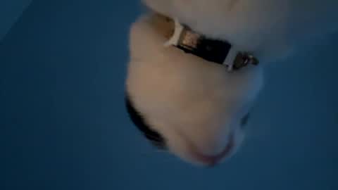 Snapshot of keepquietj chatting on 20, 1, 2025 keepquietj online show from 20, 1, 2025