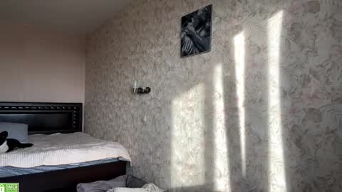 Sylvia online show from 8, 11, 2025