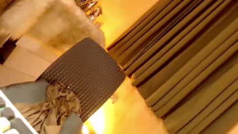 Ebony online show from 23, 9, 2025