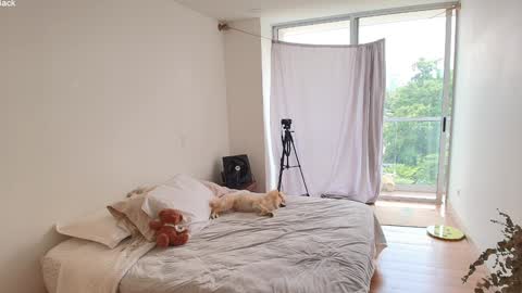 Snapshot of kendalltyler chatting on 10, 3, 2026 kendall online show from 10, 3, 2026