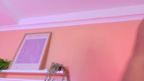   online show from 27, 11, 2025