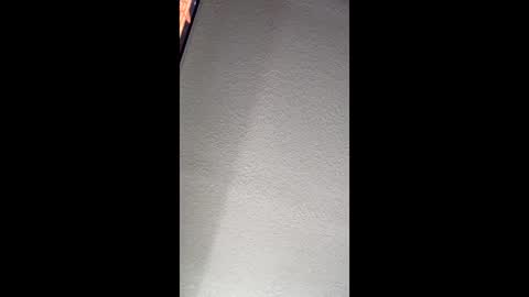 kenw44884 online show from 8, 2, 2026