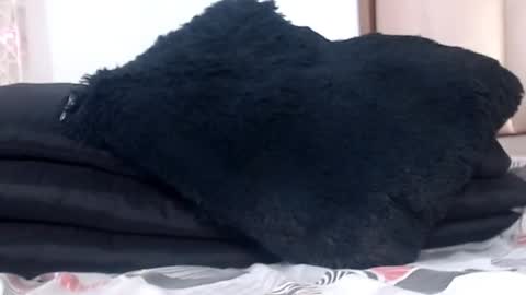 CHOQUITO online show from 3, 1, 2025