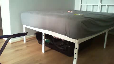 Snapshot of kevee1955 chatting on 20, 2, 2026 Daddyo online show from 20, 2, 2026