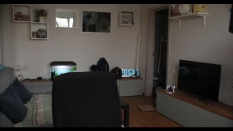 Snapshot of kevin_park chatting on 17, 2, 2025 Kev online show from 17, 2, 2025