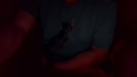 jesse444 cum show online show from 20, 9, 2025