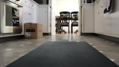 Kicknbutt online show from 26, 2, 2026