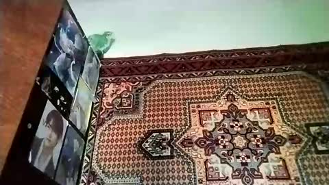 Snapshot of kikibang_ chatting on 20, 11, 2025 kikibang_ online show from 20, 11, 2025