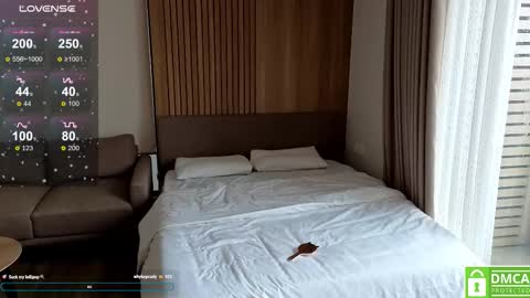 Kim online show from 17, 11, 2025