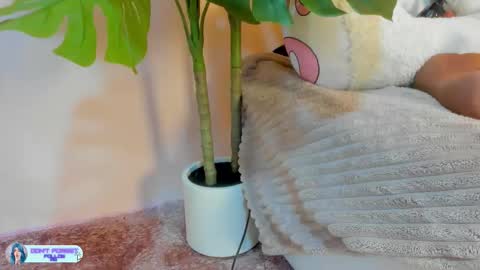 Kim  online show from 17, 1, 2026